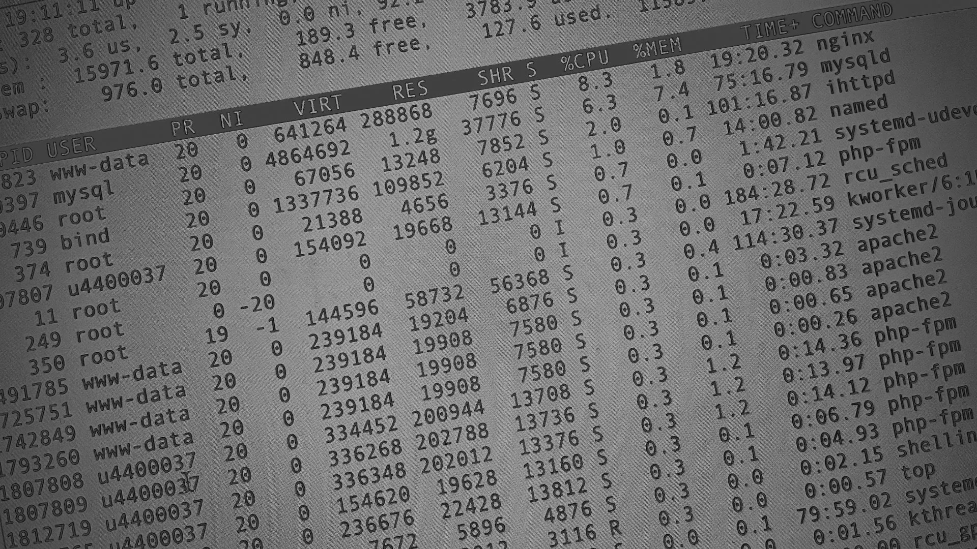 Настройка сервера в Новороссийске Настройка сервера в Новороссийске