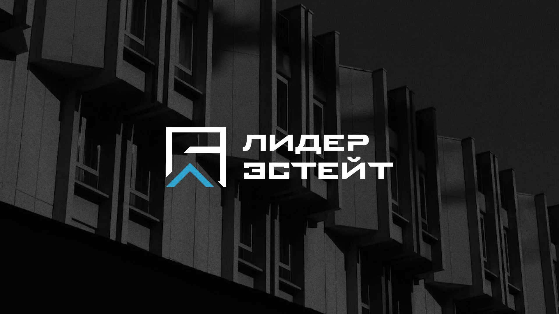 Разработка логотипа агентства недвижимости «Лидер Эстейт» в Новороссийске
