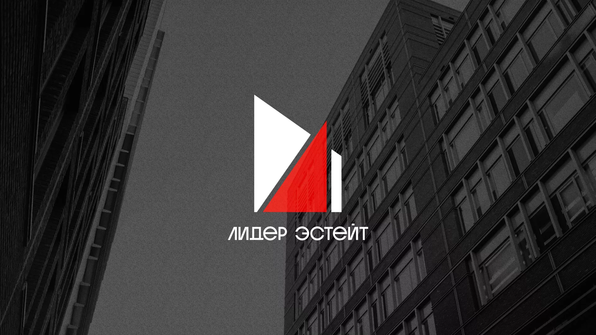 Сделали логотип для агентства недвижимости «Лидер Эстейт» в Новороссийске